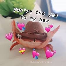 Pin Von Weird Human Auf Random Shit Susse Memes Dumme Memes Humorvolle Bilder