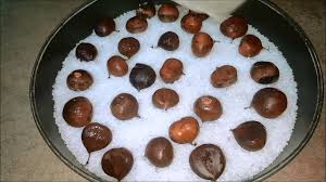 Quello delle castagne al forno è un modo facile e veloce per gustare le caldarroste a casa! Castagne Al Forno Con Il Sale Ed Il Canovaccio Foodvlogger Youtube