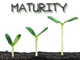 Maturity is about knowing  everyone grows old, but not everyone is growing up  means maturity is a sign of maturity is understanding that we all go through our own adversity and it's how we bounce. Digital Maturity Or Digital Transformation Eric D Brown D Sc