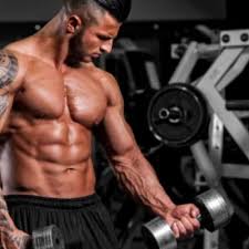 We did not find results for: What Are The Three Body Types And Which One Are You Muscle Strength