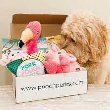 Each month the recipient receives a doggy gift box with a selection of cute toys and doggy treats. 12 Cute Doggy Gift Baskets And Birthday Boxes For Special Pups Hey Djangles