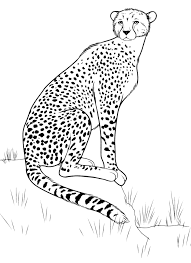 Free, printable coloring pages for adults that are not only fun but extremely relaxing. Animals The Cheetah In The Savannah