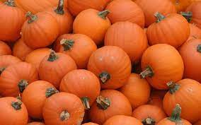 Free Pumpkin Wallpaper Backgrounds Wallpaper 1920 1200 Pumpkins Wallpapers For Desktop 40 Wallpapers Ador Pumpkin Pumpkin Wallpaper Diy Beauty Treatments