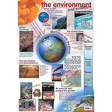 Wall Chart The Environment Teachershop