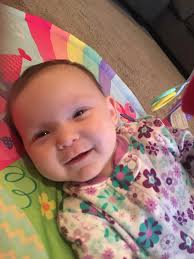 Missing pet in Auburn, WA near Lakeland Family Chiropractor