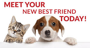 When you adopt a pet, not only are you 1521 w. Home Page Home Fur Good