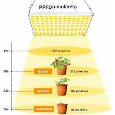 The latest technological advances have made led grow lights a viable alternative for the hydroponics gardener. 75w Led Grow Light Sunlike Full Spectrum Lamp For Indoor Hydroponic Plant Grow Uk Plug Shopee Malaysia