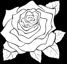 Rose stock graphics free vector. Rose Blossom Full Free Vector Graphic On Pixabay