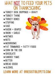 What Not To Feed Your Pet On Thanksgiving Pet Safety Dog Thanksgiving Pet Hacks