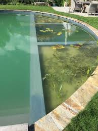 Pools Freiraum Cc Naturschwimmbader Wasser Im Garten Natur Pool
