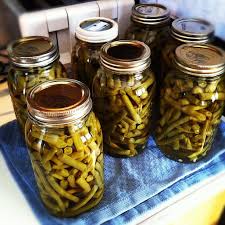 What's on your menu for thanksgiving dinner this year? Canning Green Beans Insteading