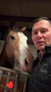 Kenton Wright Equestrian