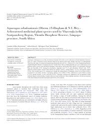 Image result for Hippocratea longipetiolata