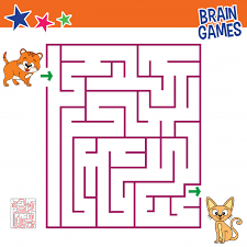 cat brain games for kids children