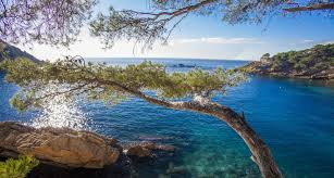 Plage des Capucins MyProvence