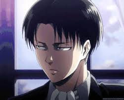 Curiosidades sobre o Levi!