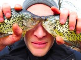 Surprise Fly Fishing Opportunity for Crappie