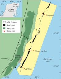 Puerto morelos makes an excellent base if you're looking for someplace quieter than glitzy hotspots like cancun and playa del carmen. Map Of The Puerto Morelos Reef National Park Quintana Roo Mexico Download Scientific Diagram