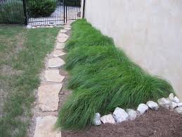 We know what it takes to have lush organic products, beautiful lawns here in san antonio. Pin On Dreaming Of My Backyard