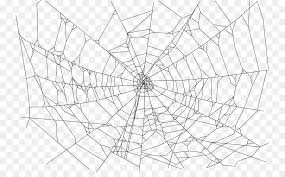 Spider Web Png Download 800 546 Free Transparent Spider Png Download Cleanpng Kisspng Download the perfect spider web pictures. spider web png download 800 546