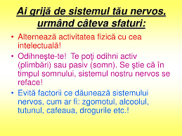 We did not find results for: Ppt Sistemul Nervos La Om Powerpoint Presentation Free Download Id 1108249