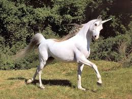 Google Image Result For Http Brbcoffee Com Wp Content Uploads 2010 03 Unicorn Afbeeldingen Dieren Eenhoorn