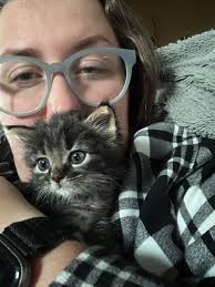 What's New — Pescadero Veterinary Services