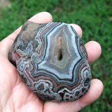 Image result for Agate Red Brown 1956 Wayne Works