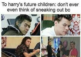 Perfect for your couch, chair, or bed. Pin By Julie V On Harry Harry Styles Harry Styles Pictures One Direction Humor