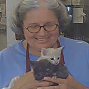 Search Natalie Porter Obituaries and Funeral Services