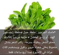 ماسك الجرجير ملعقة عسل ملعقة زيت جوز الهند أو زيتچ المفضل حزمة جرجير فائدته دته محفز للشعر يط hair skin nails skin care mask beauty skin care routine