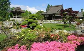 Eko haus der japanischen kultur. EkÅ Haus Der Japanischen Kultur E V EkÅ Kindergarten E V
