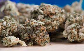 Strain Information Dispensary Works