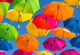 중고상점 매니저가 되어 낯선 물건들의 진가를 밝혀보세요. 40 Facts About The Umbrellas Useless Daily Facts Trivia News Oddities Jokes And More
