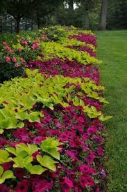 Gardening Plants Planting Flowers Flower Garden
