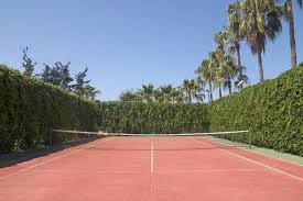 22 Luxuriose Tennisplatz Ideen Hinterhof Garten Landschaftsbau Hof Ideen