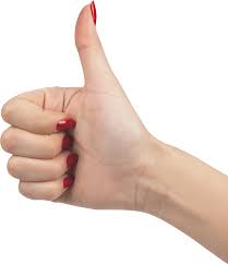 Download Png Image Like Hands Png Hands Hand Drawing Reference Finger Hands First Finger