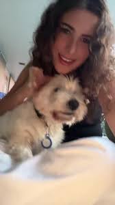 Basil: The Adorable Crusty White Dog!