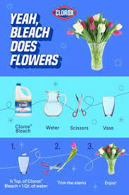 Maybe you would like to learn more about one of these? 11 Yeah Clorox Bleach Does That Ideas In 2021 Clorox Bleach Clorox Bleach