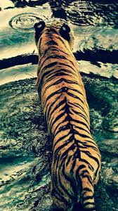 Cool collections of @free animal wallpaper for phone for desktop, laptop and mobiles. Mobile Hd Animal Wallpapers Wallpaper Cave