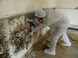 Mold Removal & Remediation | Long Island | Upper Restoration
