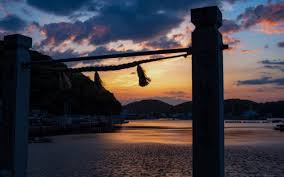 Image result for Sehima