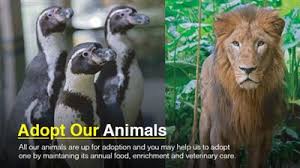 Zoo Negara Adoption Package Ticket2u