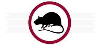 Local family owned and operated since 1994. Termite Inspection Pest Control Rodent Extermination San Diego