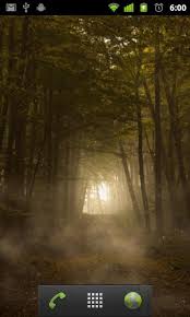 We did not find results for: Creepy Forest Wallpaper For Android Apk Download