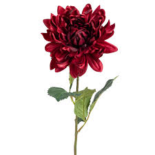 Shop target for dahlia artificial flowers & plants you will love at great low prices. Artificial Flowers Brisbane Swann Agencies