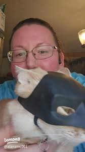 Bat Cat: Embracing Spooky Season with Feline Friends