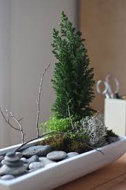 All Gardenista Garden Design Inspiration Stories In One Place Mini Zen Garden