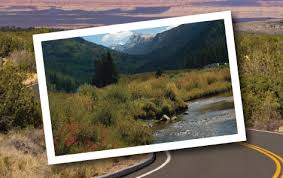 Prevent accidents by teaching family and friends about the operation of the alarms. Safe T Alert Rv Dealer Home