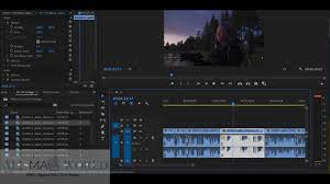 Adobe premiere pro cc 2019. Adobe Premiere Pro 2020 14 0 4 For Mac Free Download All Mac World